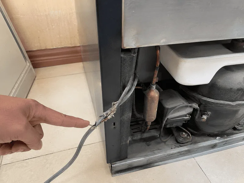 Tủ lạnh không chạy nhưng vẫn sáng đèn: Nguyên nhân và cách sửa tại nhà đèn sáng nhưng tủ lạnh không chạy