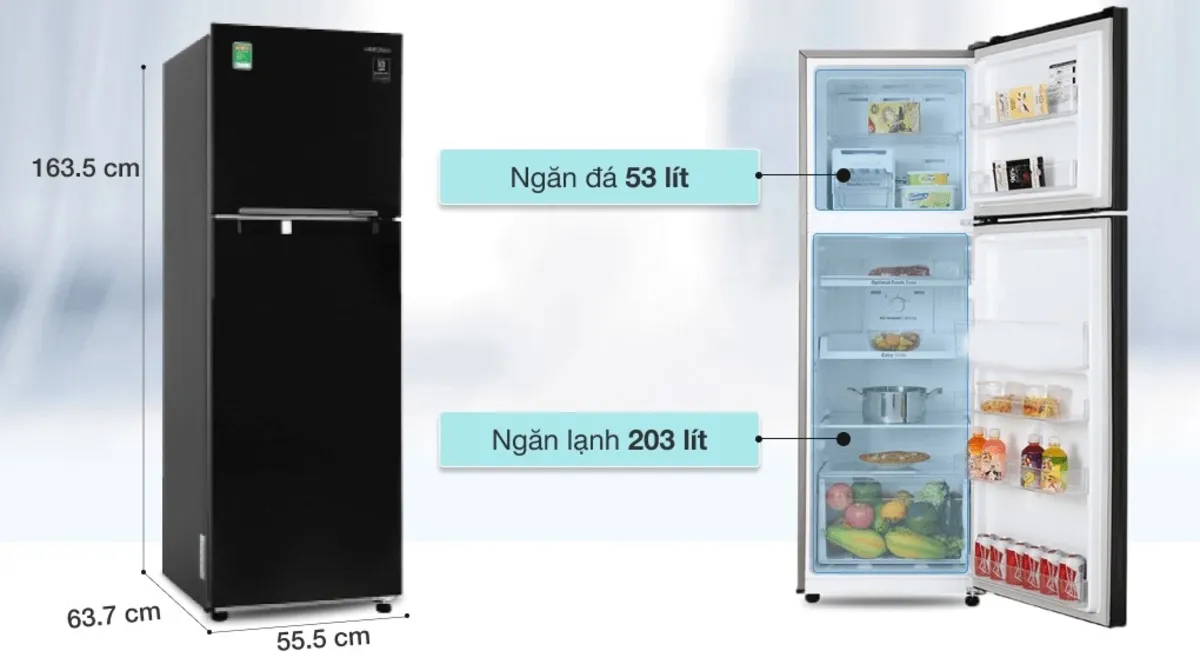Tổng hợp kích thước tủ lạnh 2 cánh Samsung của 10 mẫu phổ biến Tủ lạnh 2 cánh Samsung RT25M4032BU