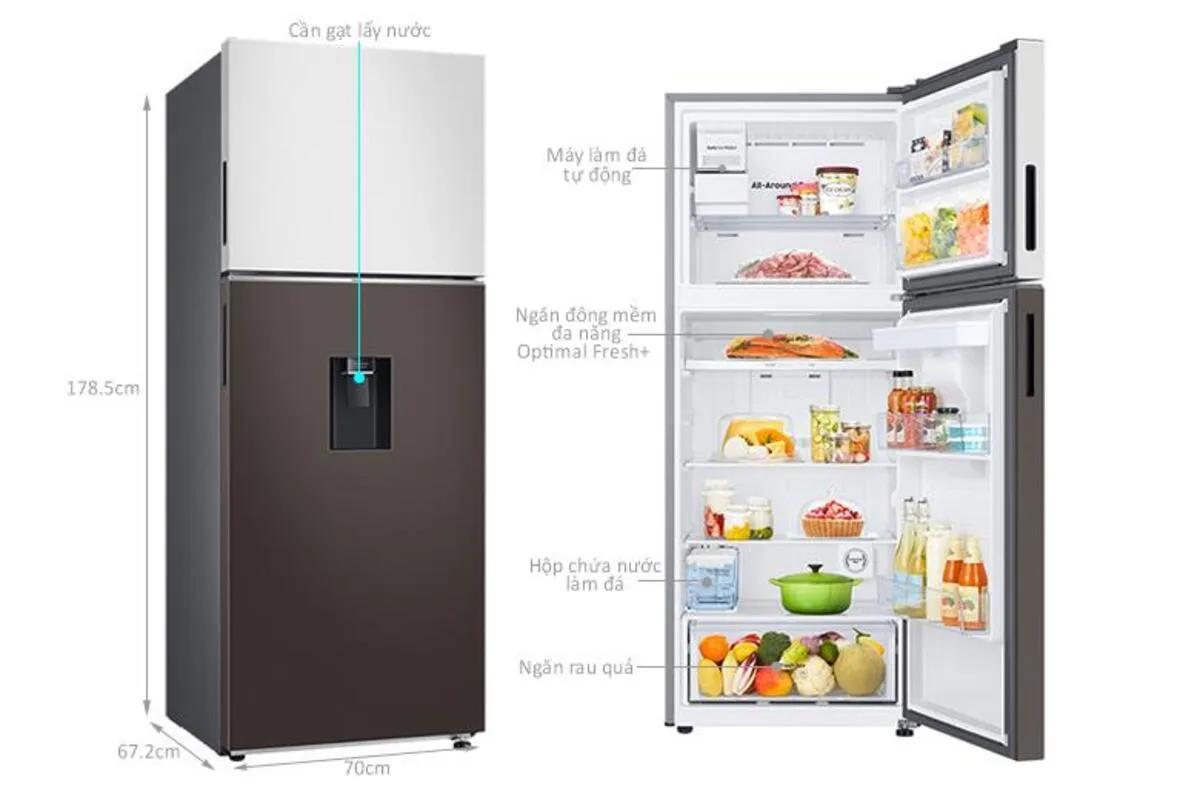 Tổng hợp kích thước tủ lạnh 2 cánh Samsung của 10 mẫu phổ biến Kích thước tủ lạnh 2 cánh Samsung RT42CB6784C3S