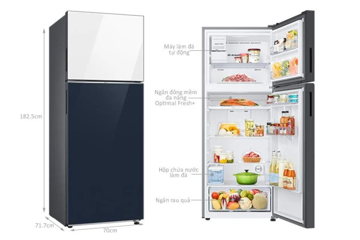 Tổng hợp kích thước tủ lạnh 2 cánh Samsung của 10 mẫu phổ biến Tủ lạnh 2 cánh Samsung RT47CB66868ASV