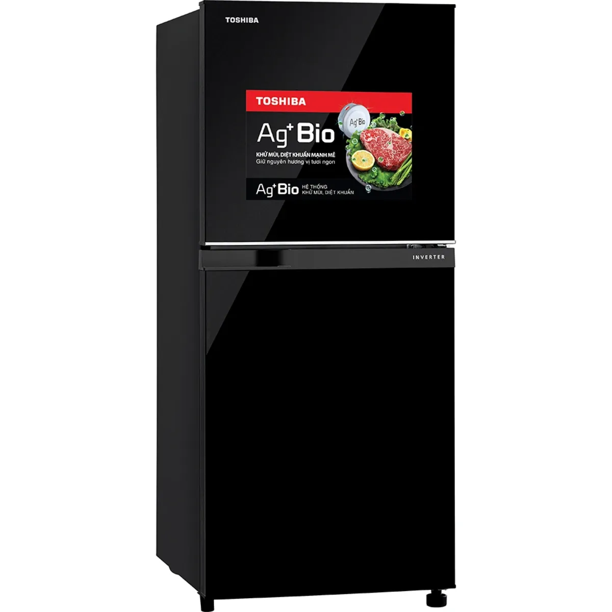 Tủ lạnh nhỏ không đóng tuyết Toshiba GR-B22VU